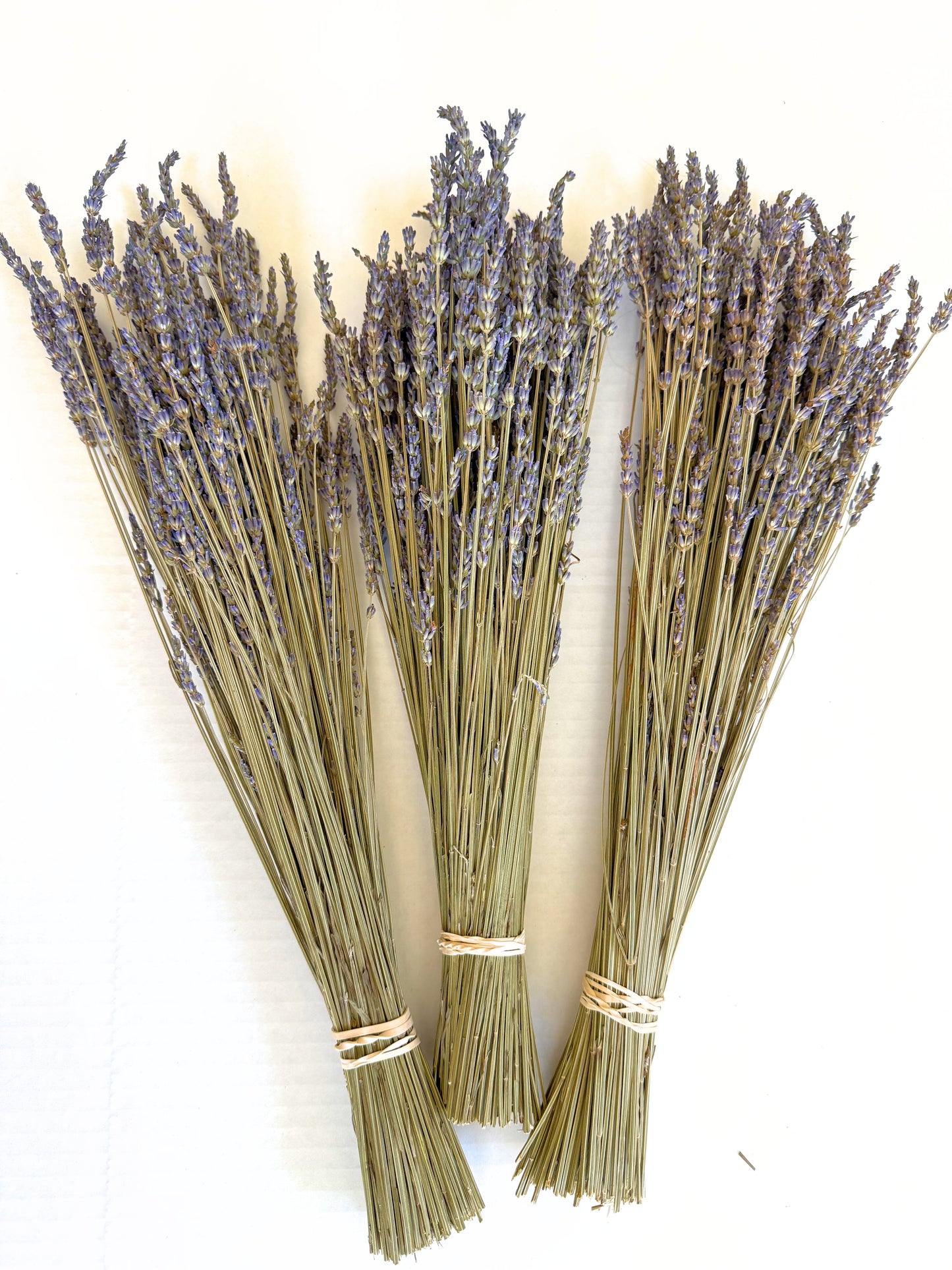 French or Intermedia dried lavender bouquet
