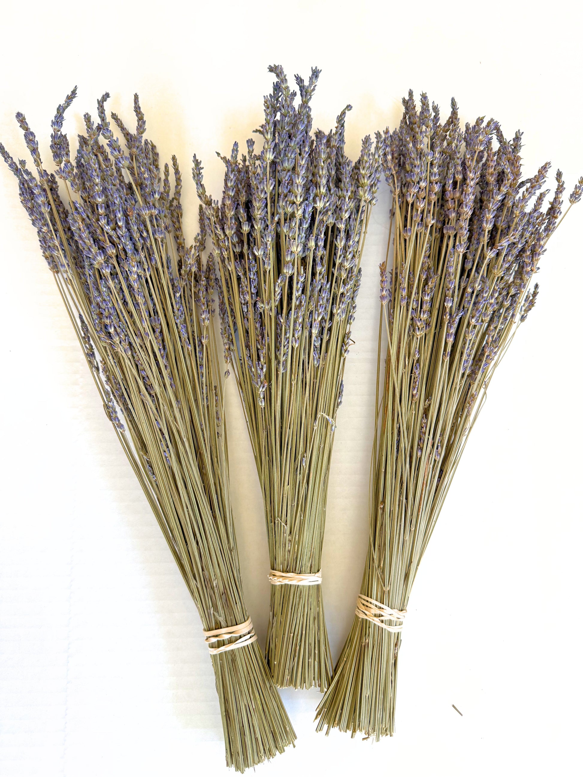 French or Intermedia dried lavender bouquet