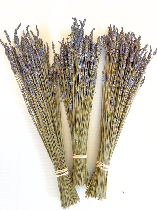 French or Intermedia dried lavender bouquet