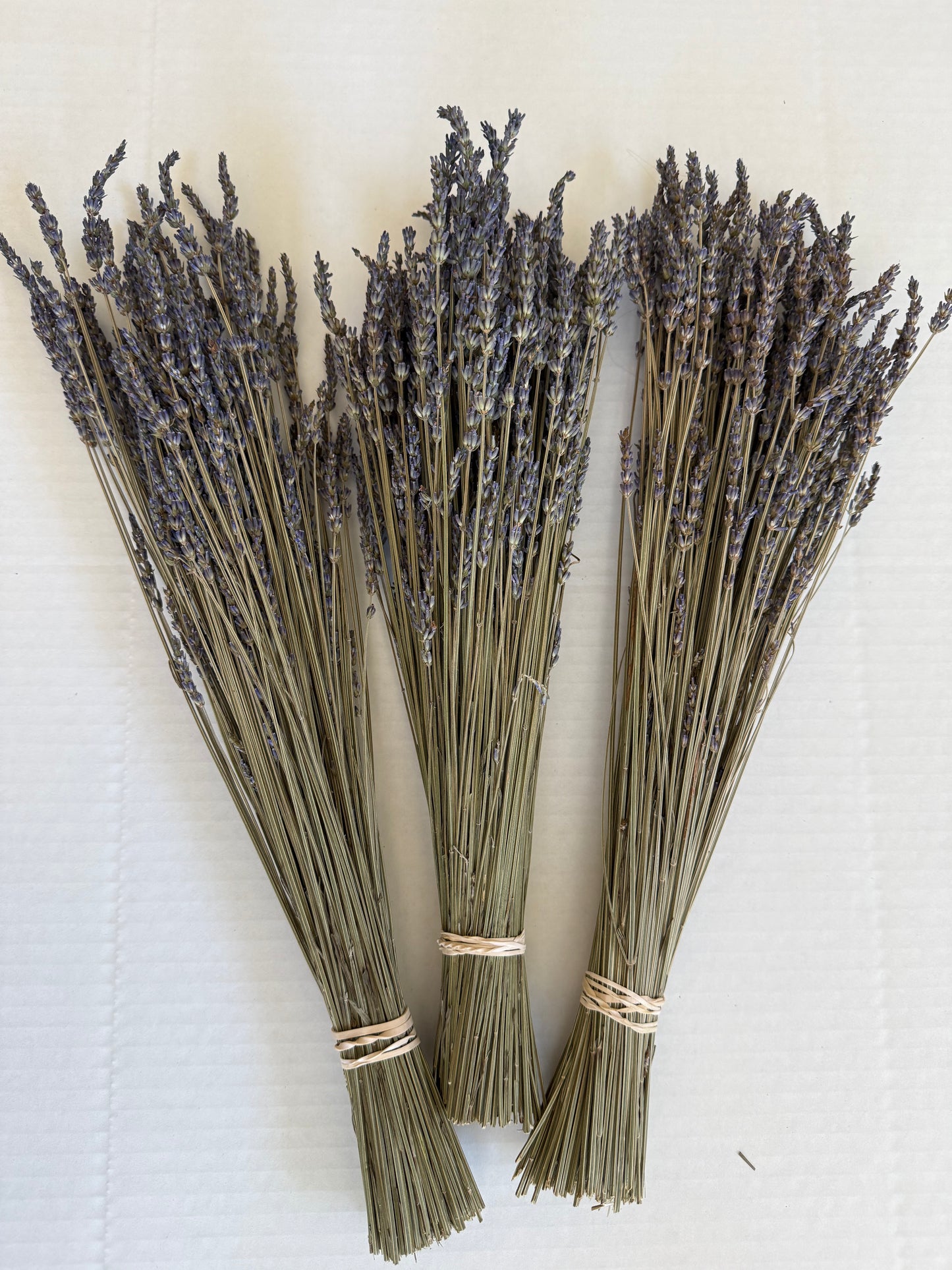 Dried French Lavender Bouquet
