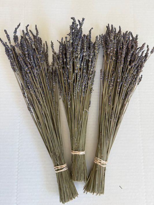 Dried French Lavender Bouquet